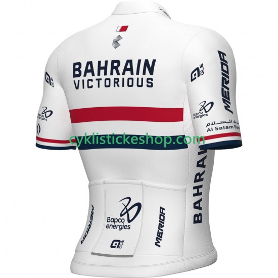 Cyklistický Dres s Krátkým Rukávem Team Bahrain Victorious 2024 Pánské N001