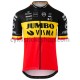 Cyklistický Dres s Krátkým Rukávem 2020 Team Jumbo–Visma M002